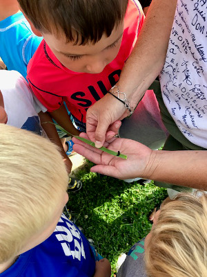 Early Childhood Development in Rochester, NY at Greece Montessori School