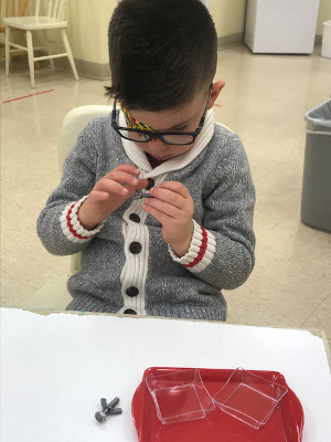 Infant & Child Care Programs in Rochester, NY at Greece Montessori School